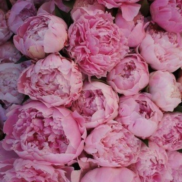 Mystery item - Picture 1 of 2